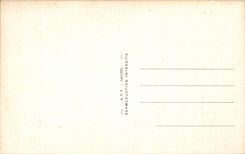 CPA Fantaisie Illustrateur Humour Y'a poule et poule