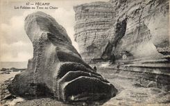 Fecamp ellos acantilados con el agujero con el perro - CPA