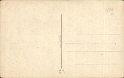 Humour - Illustration - Peeping - chien - dog - CPA 