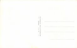 Humour - Illustration - Ski Nautique - Water Skiing - plage - beach - bain - swimming - CPA 