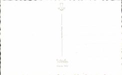 Fantasia - nino - ilustracion - buena mama del festival - CPA