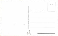 Fantasia - nino - ilustracion - buena mama del festival - CPA