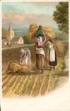 Arts - Tableaux - Beautiful Painting - Agriculture - CPA 