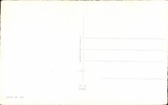 CPA Humour Fantaisie On cherche un quatrieme ! Taureau Bull