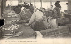 Pescados comerciales Treport de CPA