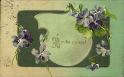 La fantasia de CPA florece amistad sincera