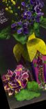 CPA Fantaisie Fleurs Bonne annee
