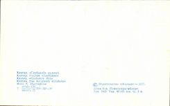 Russia - Russland - Russia - Kehtay - CPA