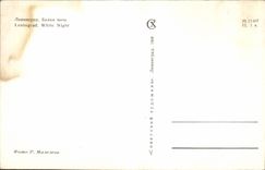 Russia - Russia - Russland - Leningrad - White Night - CPA