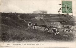 CPA Treport visto de las vacas de Huon del montaje