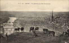 CPA Rouen View taken of co  Catherine Vaches