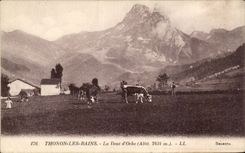 CPA Thonon les Bains the tooth of oche Cow