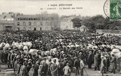CPA Anjou Cholet Le marche aux boeufs TOP