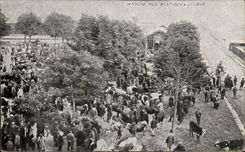 CPA Marche with cattle has Lisieux