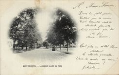 Saint Celestin it Large Allee of the Park - CPA