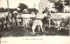 Vichy - Marche aux bestiaux - CPA 