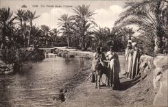 CPA a wadi in the oasis Ass Donkey