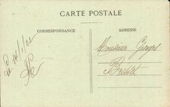 CPA Lyon Place Composts Pigeons tame