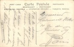 Camello del camello del conductor del camello de CPA