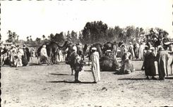 Mercado de CPA con el camello del camello de Oran de los camellos
