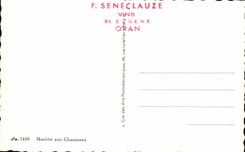 Mercado de CPA con el camello del camello de Oran de los camellos