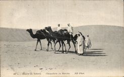 Servicios de CPA del Sahara Chameliers en mercado