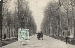 CPA Rheims the large alley of the walks