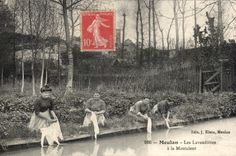 CPA Meulan lavender fields in Montcient TOP