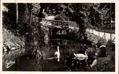 CPA Angouleme Le jardin vert Le pont rustique Les cygnes