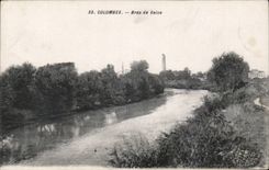 CPA Doves Arm of the Seine