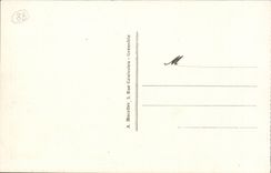 CPA Grenoble Le old working and the Alps