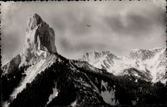 CPSM the Mount Switches