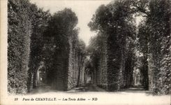 CPA Parc de Chantilly Les trois allees