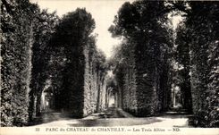 CPA Parc du chateau de Chantilly Les trois allees