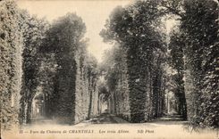 CPA Park of the castle of Chantilly three alleys