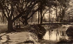 CPA Toulouse Jardin des plantes