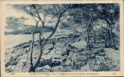 Leones de Raphael del santo de CPA de la tierra y del mar