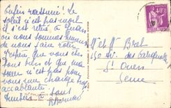 CPA Pins parasols de l Esterel 