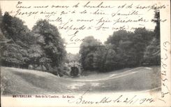 CPA Brussels Bois of Cambers the ravine