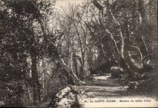 CPA Sainte the Balsam Assembled of Saint the Rammer