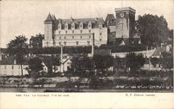 CPA Pau Le chateau