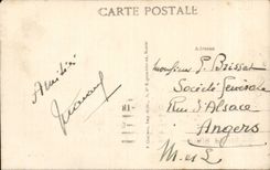 Pinos de La Baule - lugar de las palmeras CPA