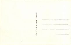 Chenonceaux - el castillo - CPA