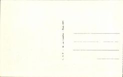 Azay le Rideau - Chateau National - Musee de la Renaissance - CPA 