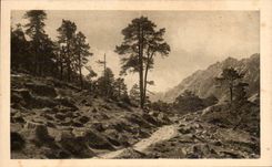 Cauterets - Way of the Lake Gaube - CPA