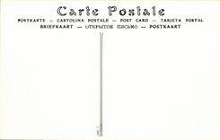 REPRO Chenonceaux - the Castle - Herd of Sheep - CPA