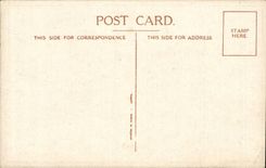 Humor - Illustration - Peace is SIgnee my Son-in-law - CPA