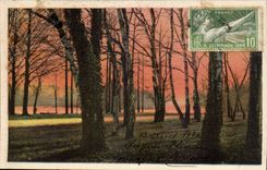 CPA Lyon the park of the Head gold