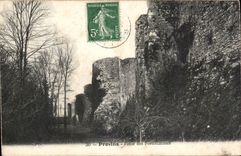 CPA Layered branches Pit of the fortifications