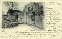 CPA Layered branches Faneron Postern